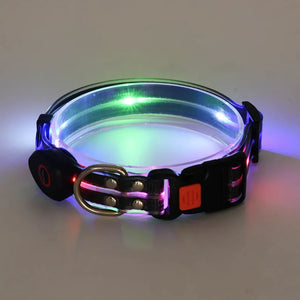 Rechargeable LED Pet Collar with Leash – High-Visibility Safety for Night Walks