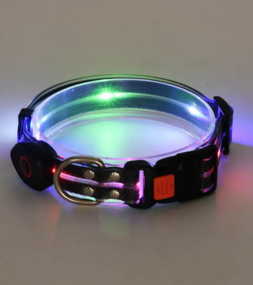 Rechargeable LED Pet Collar with Nylon Leash