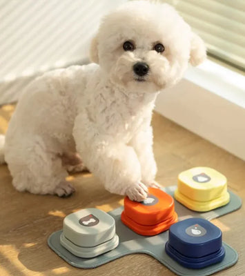 Pet Toy