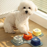 Interactive Pet Training Toy worn on a dog's neck