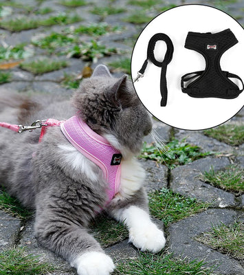 Anti-skidding cat harness