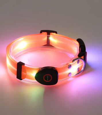 Rechargeable LED Pet Collar with Nylon Leash