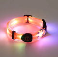 Dog Collar Orange