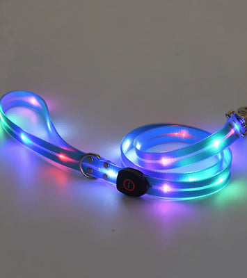 Rechargeable LED Pet Collar with Nylon Leash