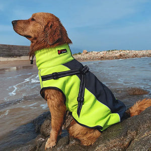 Neon yellow All-Weather Reflective Dog Jacket with Built-In Harness, windproof and waterproof, on a dog by the shore.