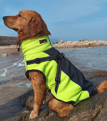 All-Weather Reflective Dog Jacket with Built-In Harness