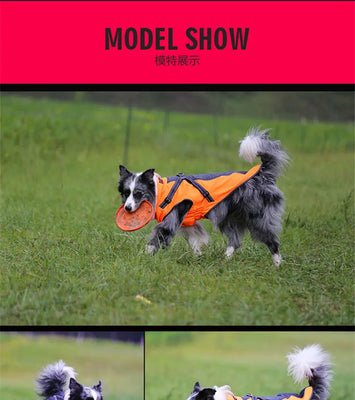 All-Weather Reflective Dog Jacket with Built-In Harness