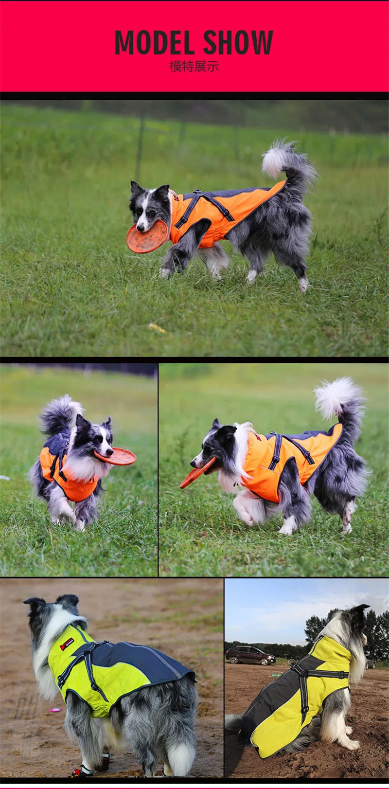 All-Weather Reflective Dog Jacket with Built-In Harness