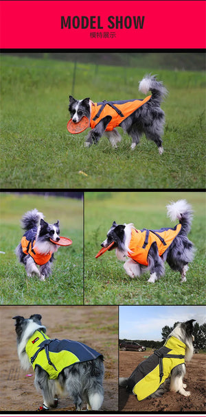 All-Weather Reflective Dog Jacket with Built-In Harness