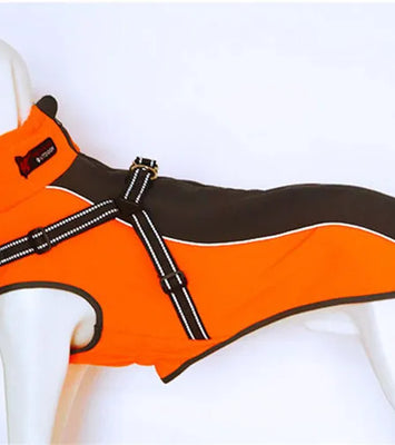 All-Weather Reflective Dog Jacket with Built-In Harness