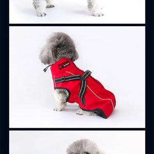 Dog wearing a red all-weather reflective jacket with built-in harness and black strap details.