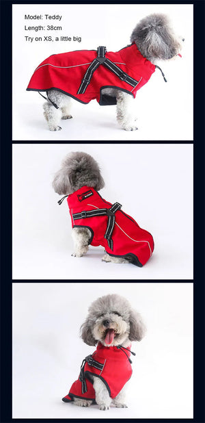All-Weather Reflective Dog Jacket with Built-In Harness