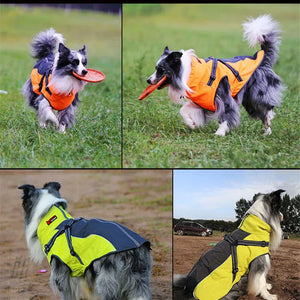 All-Weather Reflective Dog Jacket with Built-In Harness worn by dogs outdoors in bright orange and neon yellow.