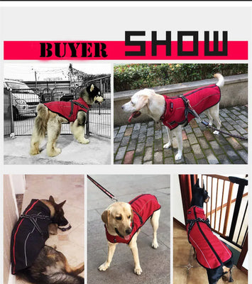 All-Weather Reflective Dog Jacket with Built-In Harness