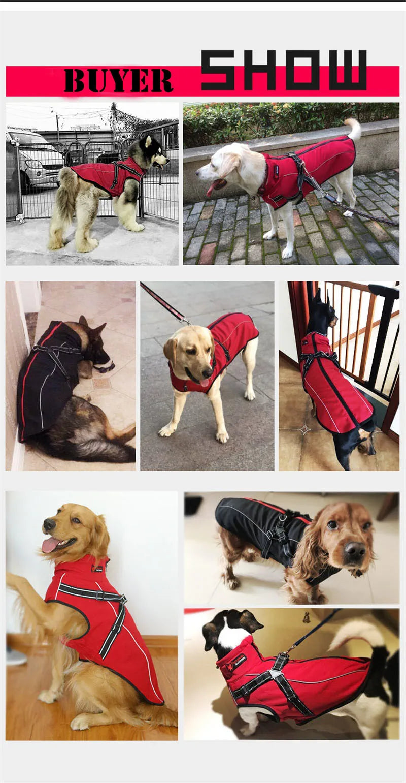 All-Weather Reflective Dog Jacket with Built-In Harness