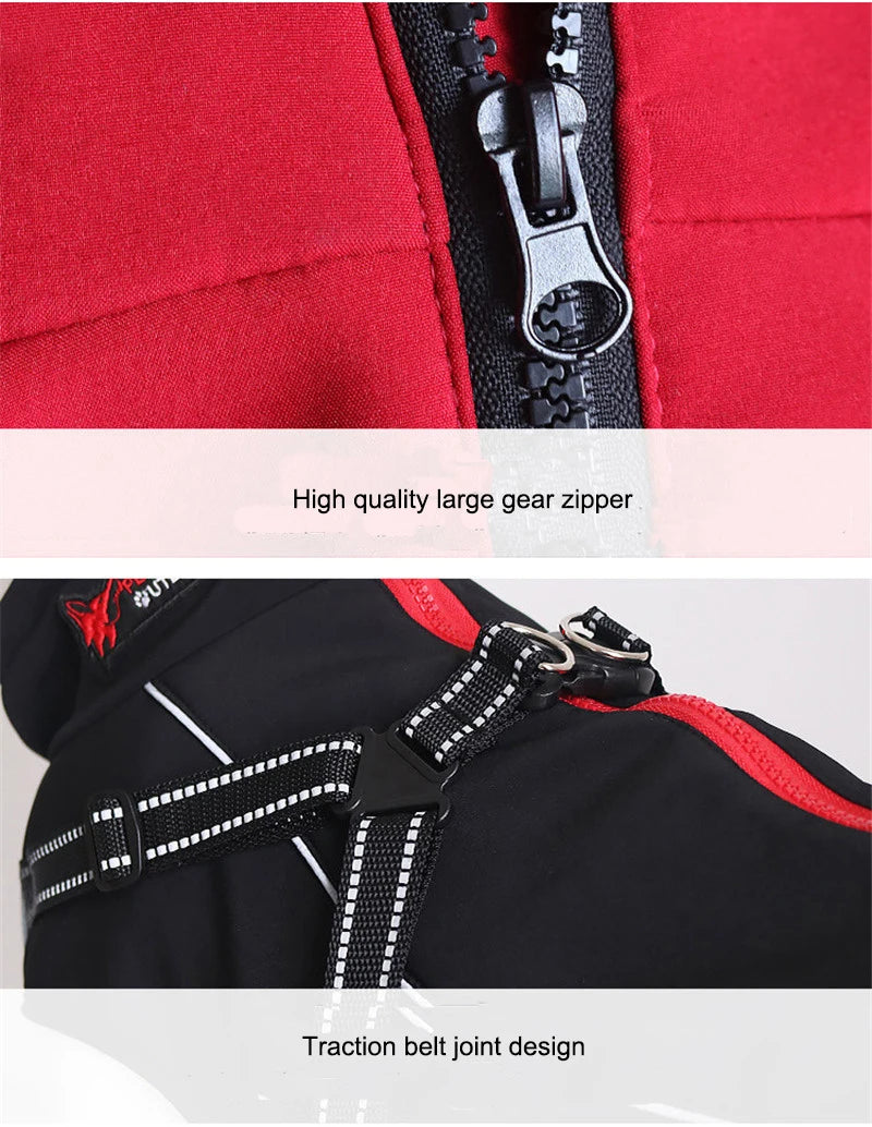 All-Weather Reflective Dog Jacket with Built-In Harness