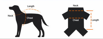 All-Weather Reflective Dog Jacket with Built-In Harness