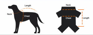 All-Weather Reflective Dog Jacket with Built-In Harness