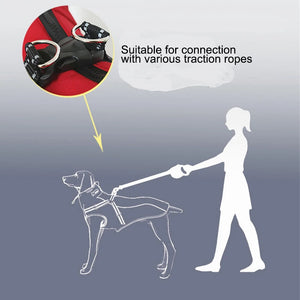 Dog wearing All-Weather Reflective Jacket with Built-In Harness for windproof, waterproof warmth and visibility