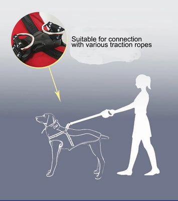 All-Weather Reflective Dog Jacket with Built-In Harness