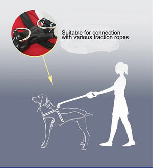 All-Weather Reflective Dog Jacket with Built-In Harness