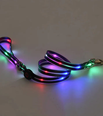 Rechargeable LED Pet Collar with Nylon Leash