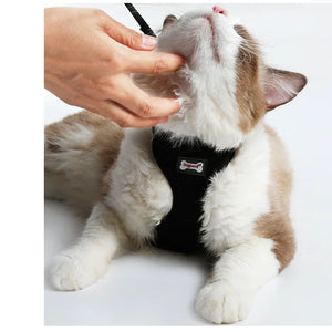 Anti-skidding cat harness