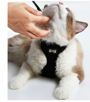 Anti-skidding cat harness