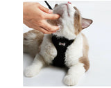 Anti-Skidding Cat Harness buckle and clip hardware