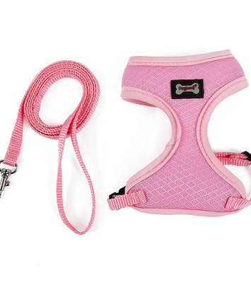 Anti-skidding cat harness