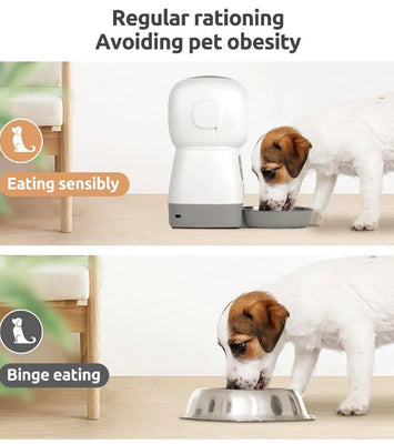 SmartSwirl™ Wi‑Fi Enabled Auto Pet Feeder (3.5L Capacity)