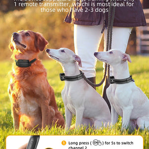 ROJECO SmartCharge™ Digital Dog Training Collar – Remote, Rechargeable & Waterproof