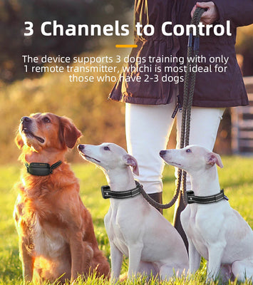 ROJECO SmartCharge™ Digital Dog Training Collar – Remote, Rechargeable & Waterproof