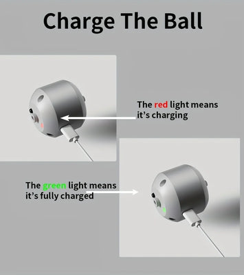 PawBounce™ Smart Interactive Dog Toy Ball