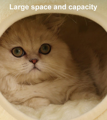 Froggo Cuddle Cave™ – Plush Frog Pet Bed for Cats & Small Dogs