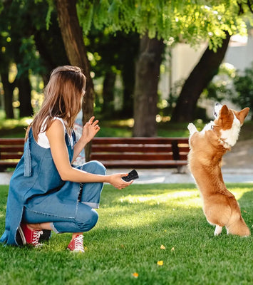 BarkGuard™ Ultrasonic Dog Training Device – Anti-Barking & Behavior Correction