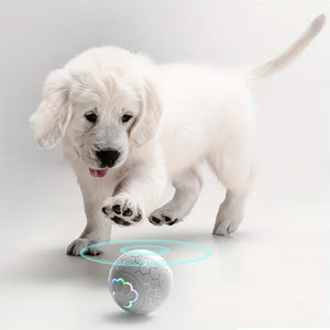 PawBounce™ Smart Interactive Dog Toy Ball - FurVenity