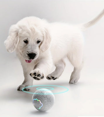 PawBounce™ Smart Interactive Dog Toy Ball