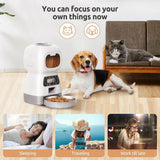 SmartSwirl Auto Pet Feeder on a kitchen counter