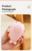 3 in 1 Pet Brush Cat Steam Brush Comb Dog Brush Electric Spray Cat Hair Brushes Massage Pet Grooming Hair Removal Combs
