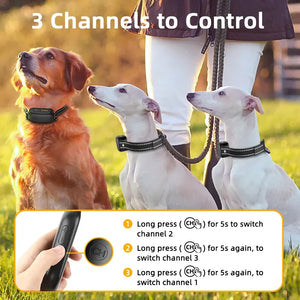 ROJECO SmartCharge™ Digital Dog Training Collar – Remote, Rechargeable & Waterproof