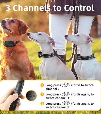 ROJECO SmartCharge™ Digital Dog Training Collar – Remote, Rechargeable & Waterproof