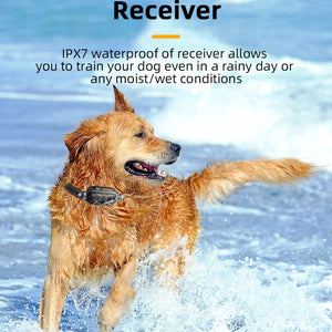 ROJECO SmartCharge™ Digital Dog Training Collar – Remote, Rechargeable & Waterproof