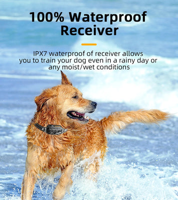 ROJECO SmartCharge™ Digital Dog Training Collar – Remote, Rechargeable & Waterproof