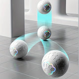 PawBounce Toy Ball in play with a pet