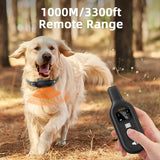 ROJECO Training Collar worn on a dog's neck