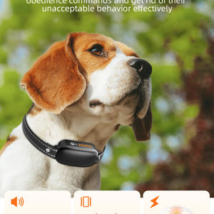 ROJECO SmartCharge™ Digital Dog Training Collar – Remote, Rechargeable & Waterproof