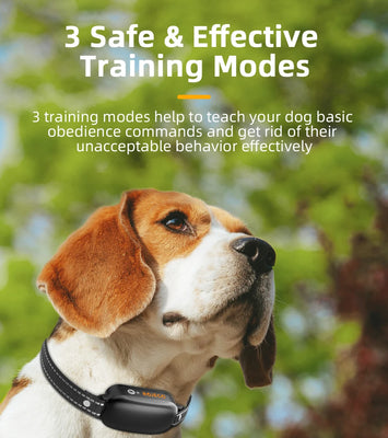 ROJECO SmartCharge™ Digital Dog Training Collar – Remote, Rechargeable & Waterproof