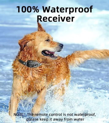 ROJECO SmartCharge™ Digital Dog Training Collar – Remote, Rechargeable & Waterproof