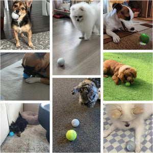 PawBounce™ Smart Interactive Dog Toy Ball - FurVenity